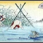 shirikodama
