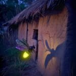 Pinterest Hidden Image