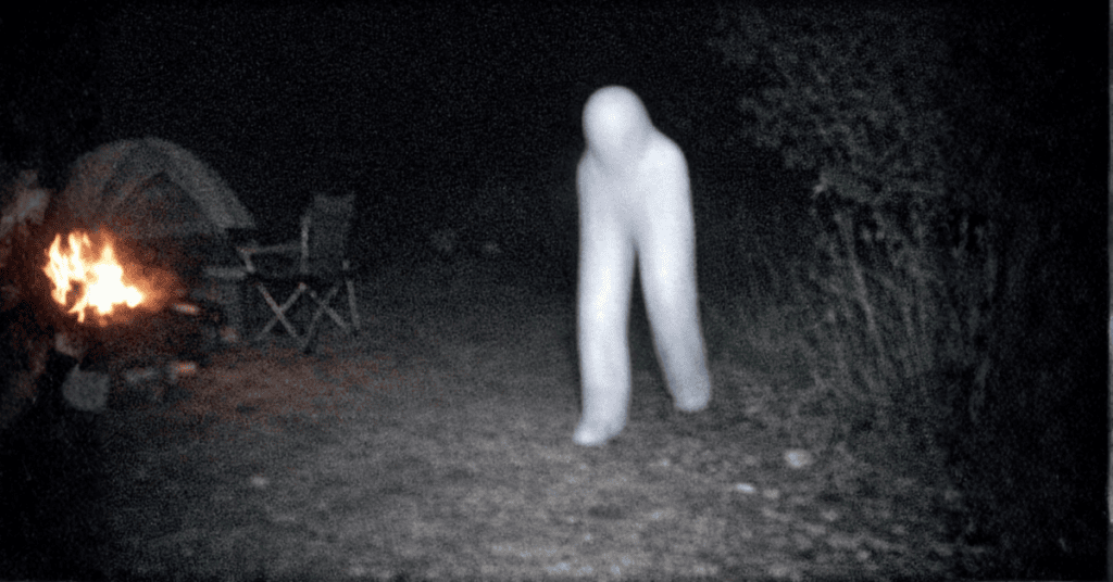 captured image Fresno nightcrawler