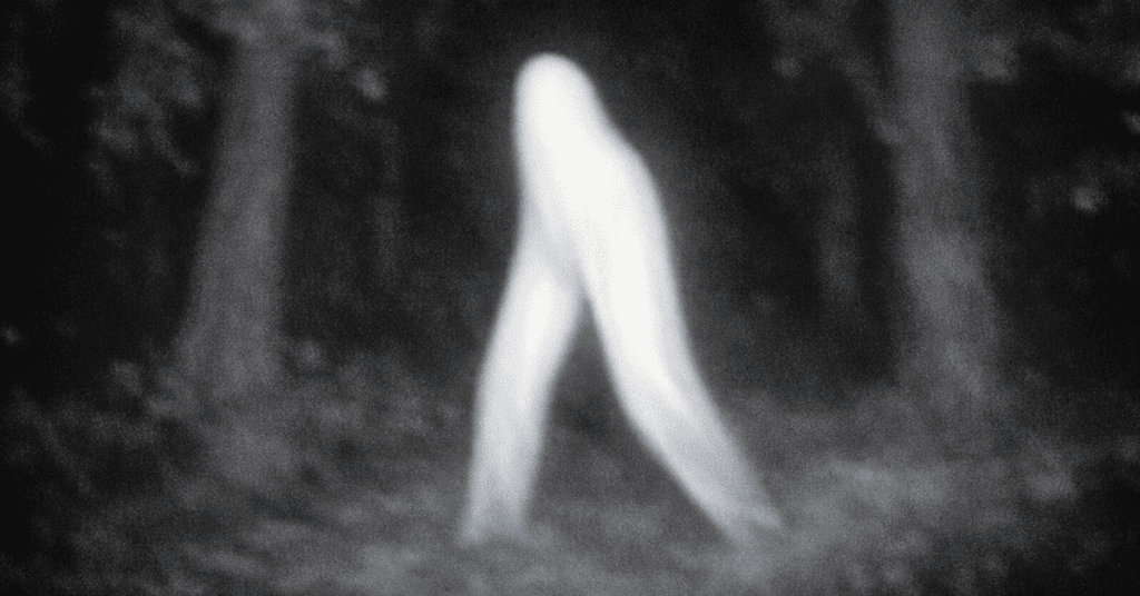 cctv footage of nightcrawlers