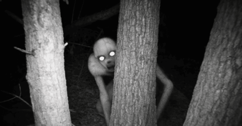 pale crawlers between trees