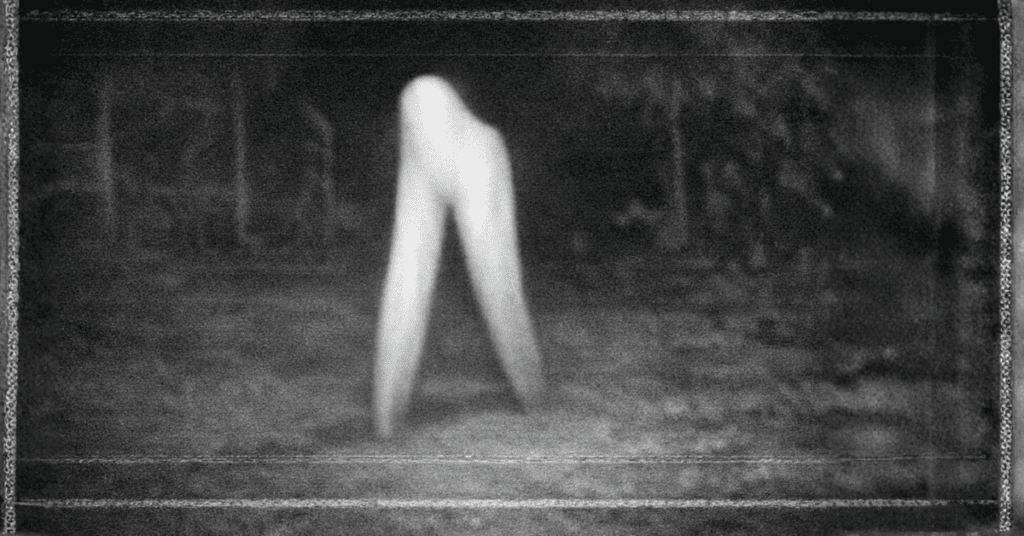 the fresno nightcrawlers